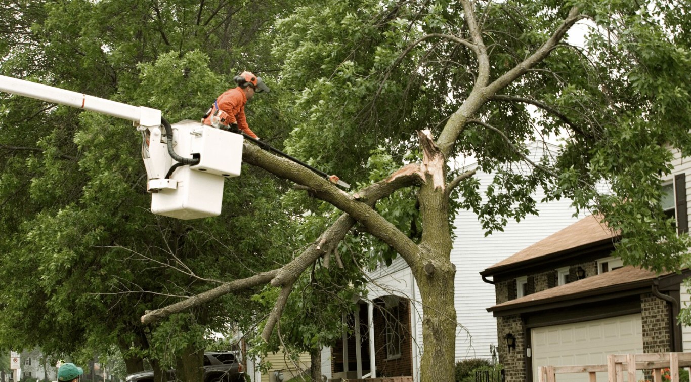 Emergency Tree Services service in Lake Charles, LA